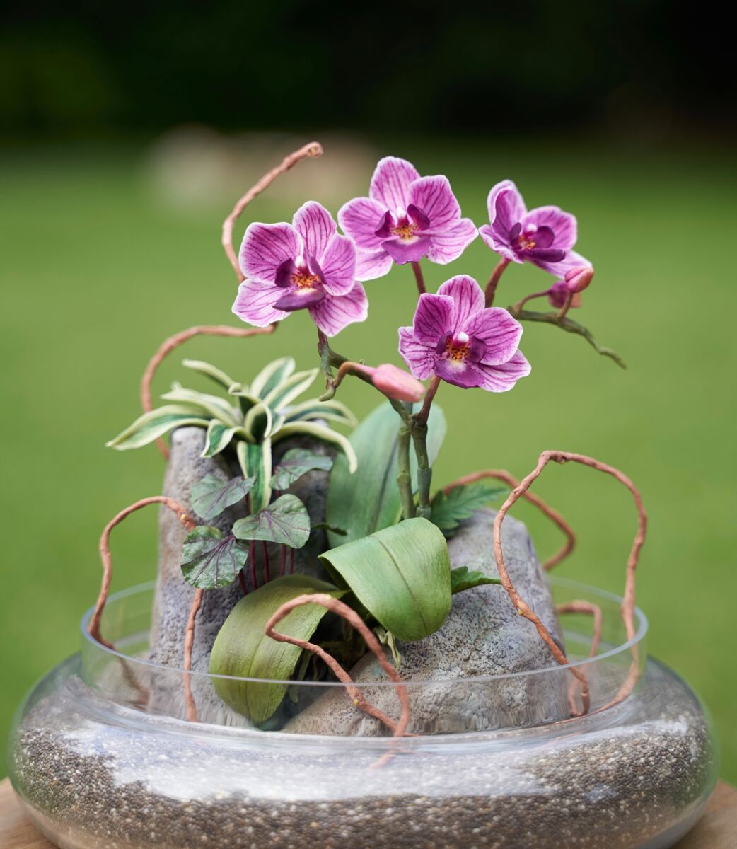 Sugar orchid terrarium art piece